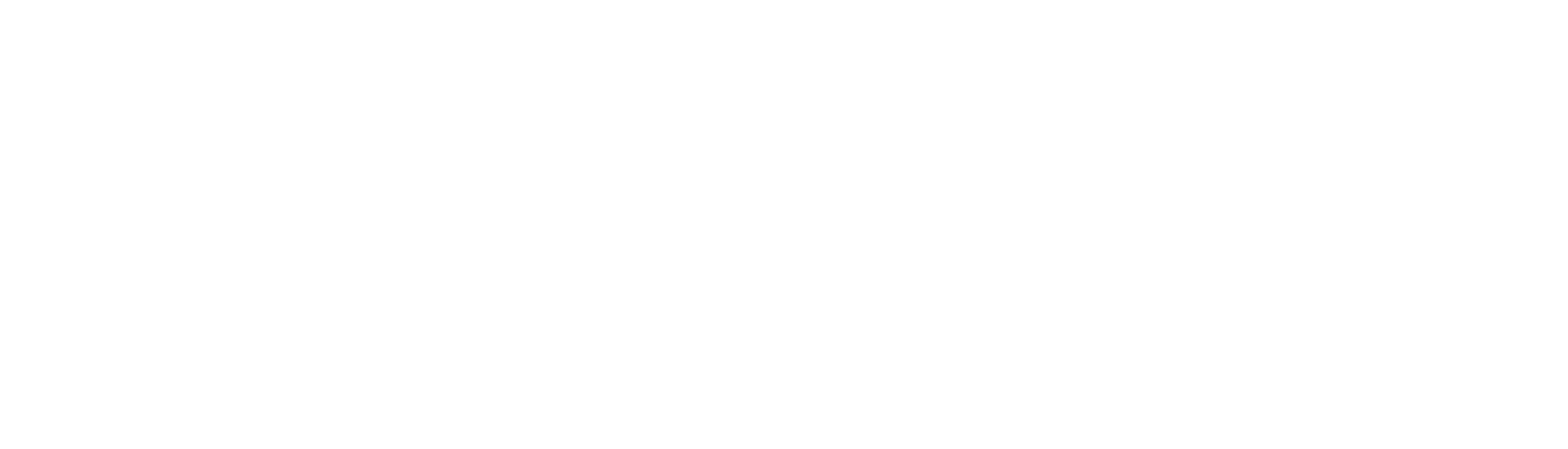 BRI Wealth Management