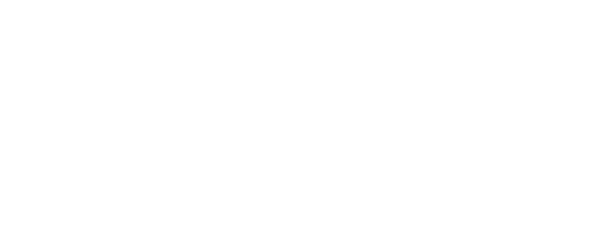 BIR