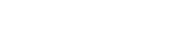 Validus